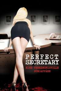 The Perfect Assistant - Poster