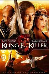 Kung Fu Killer - Posters