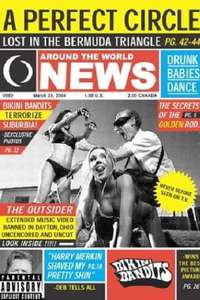 A Perfect Circle: Bikini Bandits: The Outsider - Poster