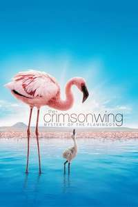 The Crimson Wing: Mystery of the Flamingos - Posters
