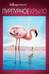 The Crimson Wing: Mystery of the Flamingos - Posters