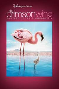 The Crimson Wing: Mystery of the Flamingos - Posters