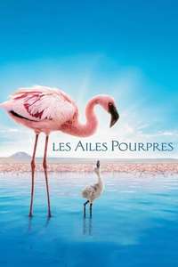 The Crimson Wing: Mystery of the Flamingos - Posters