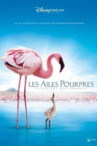 The Crimson Wing: Mystery of the Flamingos - Posters