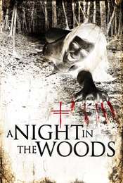 A Night In the Woods