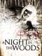 A Night In the Woods
