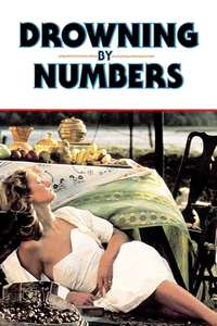 Drowning by Numbers - Poster