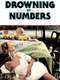 Drowning by Numbers