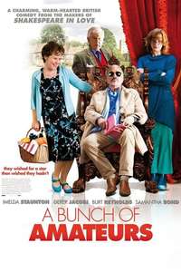 A Bunch of Amateurs - Poster