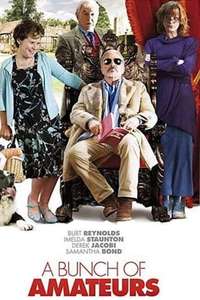 A Bunch of Amateurs - Poster