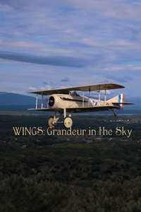 Wings: Grandeur in the Sky - Poster