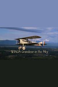 Wings: Grandeur in the Sky - Poster