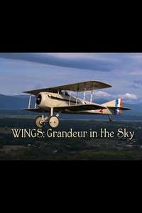 Wings: Grandeur in the Sky - Poster