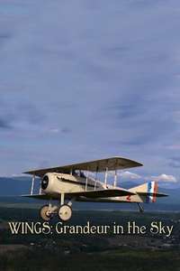 Wings: Grandeur in the Sky - Poster
