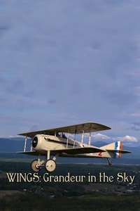 Wings: Grandeur in the Sky - Poster