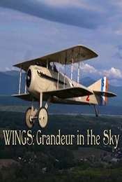 Wings: Grandeur in the Sky