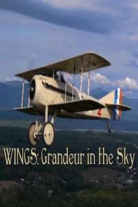 Wings: Grandeur in the Sky - Poster