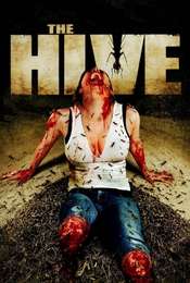 The Hive