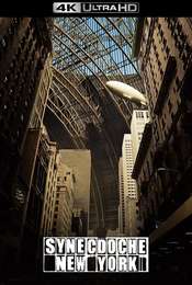 Synecdoche  New York