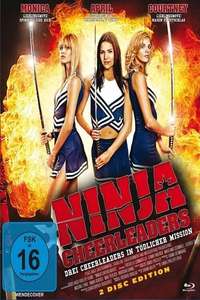 Ninja Cheerleaders - Poster