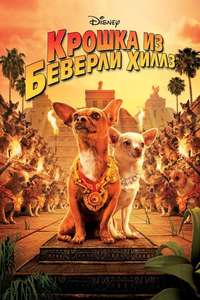 Beverly Hills Chihuahua - Poster