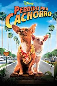 Beverly Hills Chihuahua - Poster