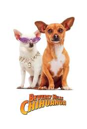 Beverly Hills Chihuahua