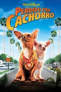 Beverly Hills Chihuahua - Poster
