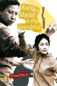 Kung Fu Master Is My Grandma! - Poster