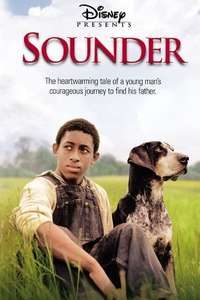 Sounder - Poster
