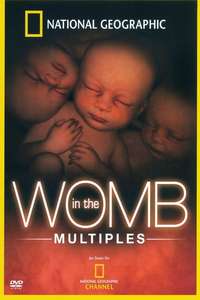 In the Womb: Multiples - Poster