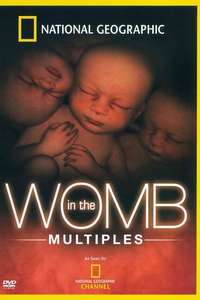 In the Womb: Multiples - Poster