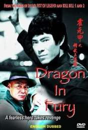 Dragon in Fury