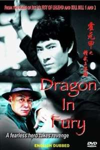 Dragon in Fury - Poster