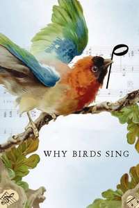 Why Birds Sing - Poster