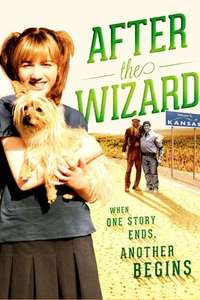 After the Wizard - Poster