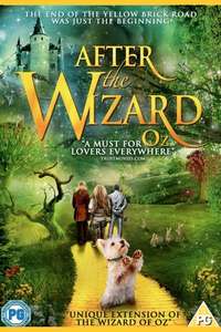 After the Wizard - Poster