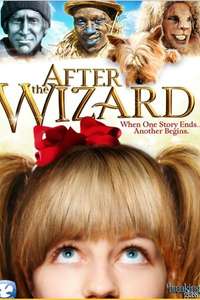 After the Wizard - Poster