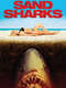 Sand Sharks