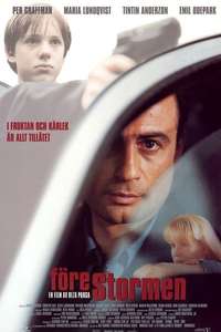 Before the Storm - Poster