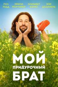 Our Idiot Brother - Poster