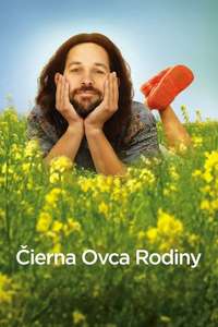 Our Idiot Brother - Poster