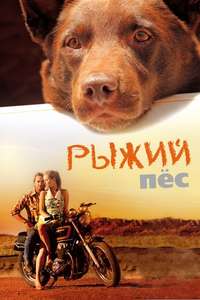 Red Dog - Poster