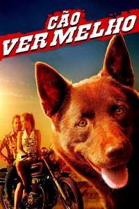Red Dog - Poster