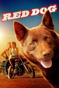 Red Dog - Poster