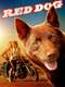 Red Dog