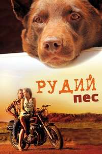 Red Dog - Poster