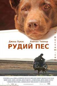 Red Dog - Poster