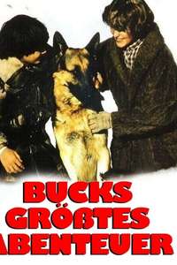 Buck at the Edge of Heaven - Poster
