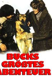 Buck at the Edge of Heaven - Poster